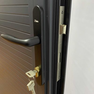 현대 디자인 유럽 보안 잠금 힌지 및 손잡이 액세서리와 함께 강철 문