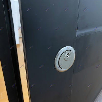 검은 알루미늄 단일 피보트 문 2.0mm 두께로 외부 문을 업그레이드